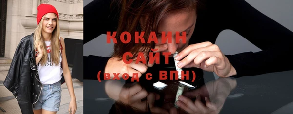 PSILOCYBIN Кулебаки