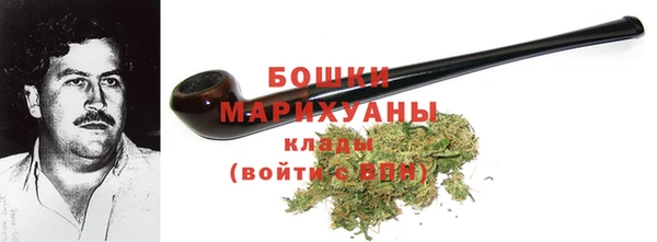 PSILOCYBIN Кулебаки