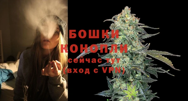 PSILOCYBIN Кулебаки