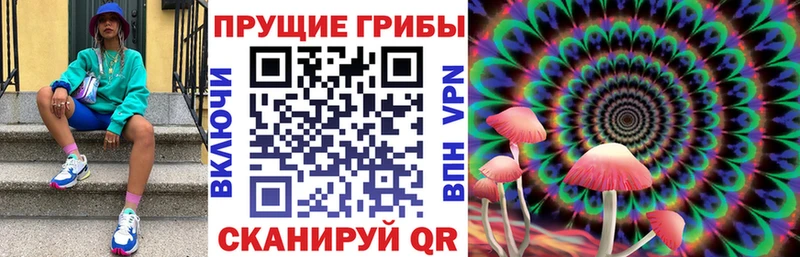 Купить закладки Котельниково Галлюциногенные грибы прущие грибы